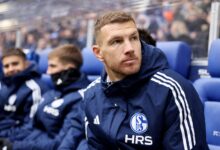 schalke news