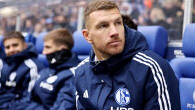schalke news